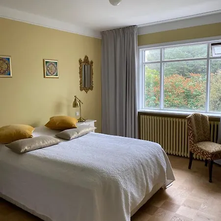 Casa Disa - Dreams, A Boutique In City's Park And Botanical Garden In Laugardalur, Hot-spring-valley *