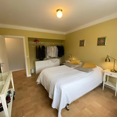 Casa Disa - Dreams, A Boutique In City's Park And Botanical Garden In Laugardalur, Hot-spring-valley Reykjavík