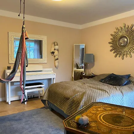 Casa Disa - Dreams, A Boutique In City's Park And Botanical Garden In Laugardalur, Hot-spring-valley ホームステイ *