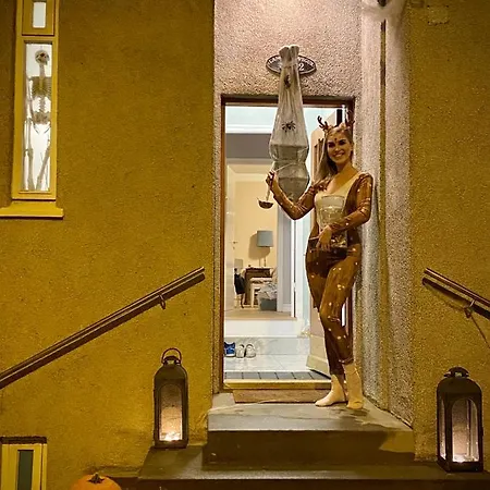 Casa Disa - Dreams, A Boutique In City's Park And Botanical Garden In Laugardalur, Hot-spring-valley Reykjavík