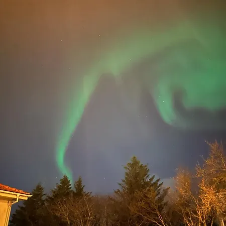 Casa Disa - Dreams, A Boutique In City's Park And Botanical Garden In Laugardalur, Hot-spring-valley * Reykjavík